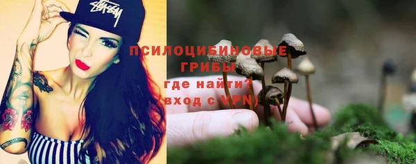 МДМА Новодвинск