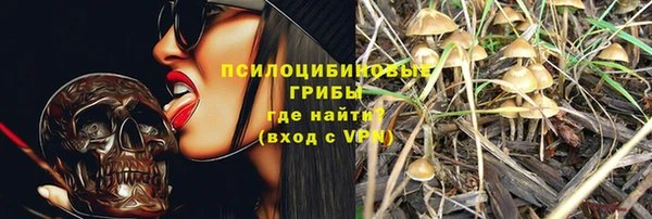 мескалин Новозыбков