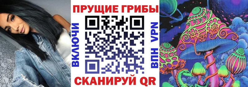 Псилоцибиновые грибы Psilocybe  Купить  Гудермес 